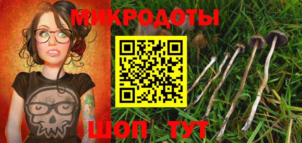 Мценск  Псилоцибиновые грибы прущие грибы  Вход с VPN 