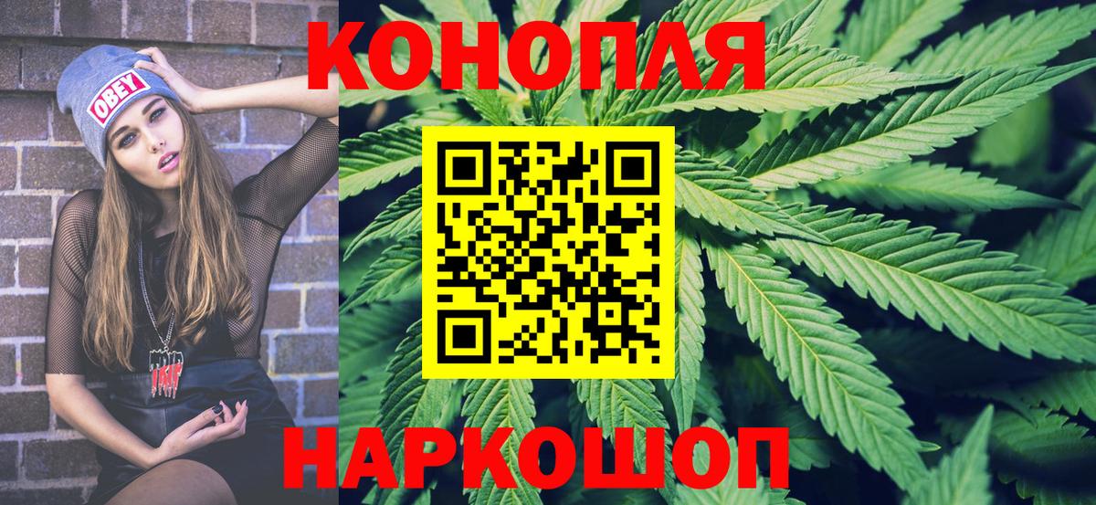 Конопля гибрид Мценск